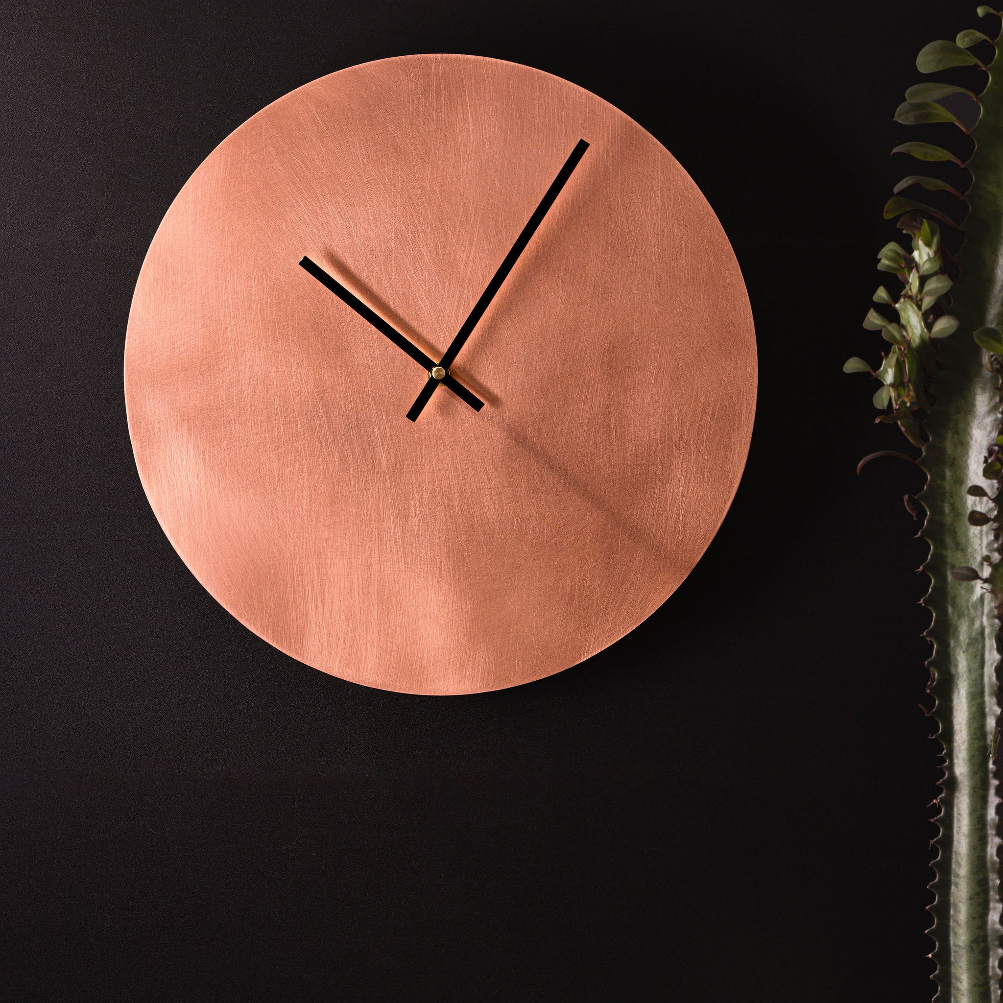 A round, glowing copper clock with thin black hands. The clock is affixed to a dark, charcoal background. To the right of the clock is a long, green cactus that is nestled in a small grey pot. The clock is made by Empire Copper.